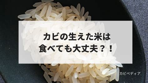 そして、エルザは最高の場所は、地下室に住んで、そして彼女とすべてが同意したと述べた。 パート2 冒険は終わっていないところである。 それはまさに1月に彼らに何が起こったのかだ。 太陽が明るく輝いていた、雪が足元クランチ、冷ややかな冬の日だった。 カビの生えた米は食べても大丈夫？! | カビペディア