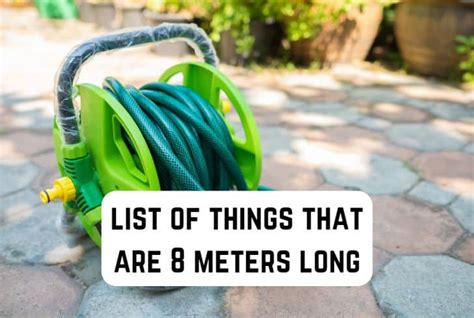 9 Common Things That Are 8 Meters Long Measuringly
