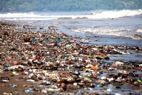 Types Of Ocean Pollution Lovetoknow