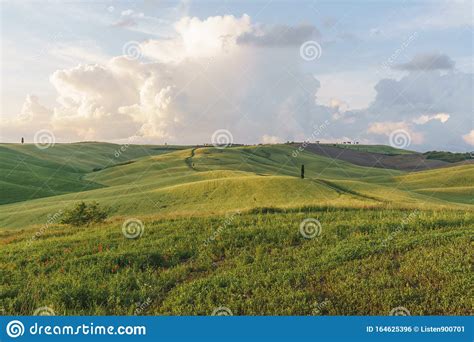 Beautiful Countryside Landscapes In Tuscany With Rolling Hills During