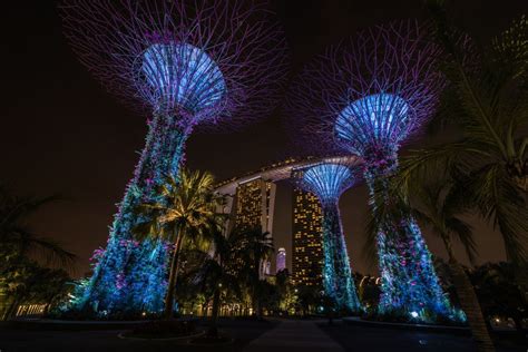 When faced with a medical. Worth a visit especially after sunset!⁣ ⁣.⁣ ⁣.⁣ ⁣.⁣ ⁣.⁣ ⁣.⁣ ⁣#gardensbythebay #singapore # ...