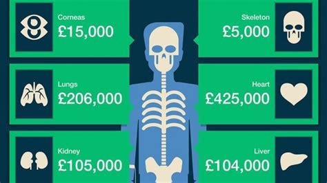How Much Is The Human Body Worth IFLScience