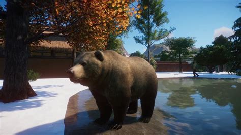 Planet Zoo Pcenglish 60 6 Minutes Of Grizzly Bear Youtube