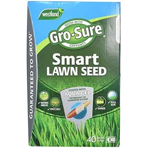 Uk Fast Growing Grass Seed