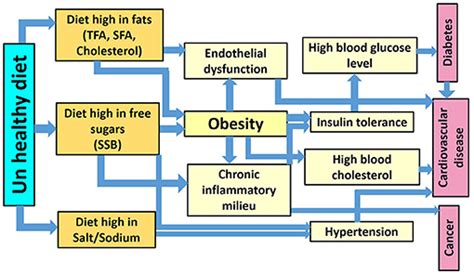 Frontiers Unhealthy Dietary Habits And Obesity The Major Risk