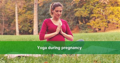 Yoga During Pregnancy Breathe Stretch Relax A Comprehensive 1 3 Trimester Guide To Yoga