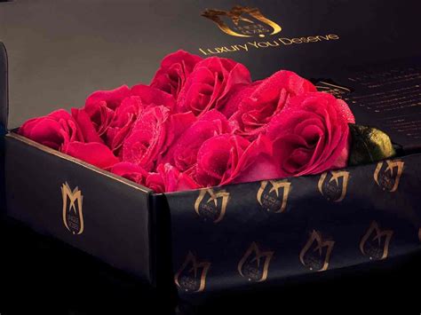 Envie Roses Prestige Long Lasting Luxury Rose Arrangements For