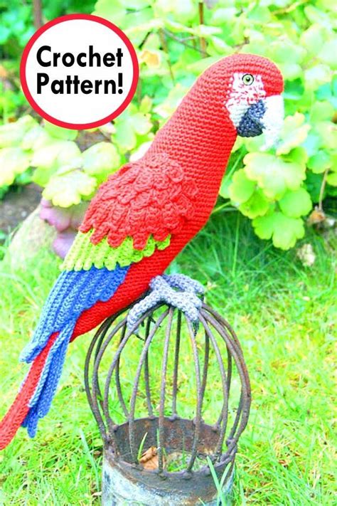 Parrot Crochet Pattern Amigurumi Parrot Parrot Amigurumi Pattern