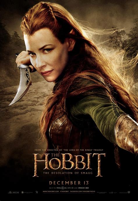 The Hobbit The Desolation Of Smaug 2013 Poster 1 Trailer Addict