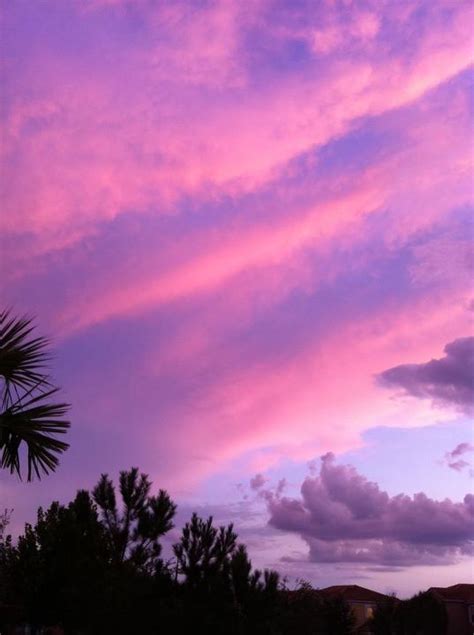 Pink Sky Sunset In Florida Pink Sunset Beautiful Sky Pink Sky