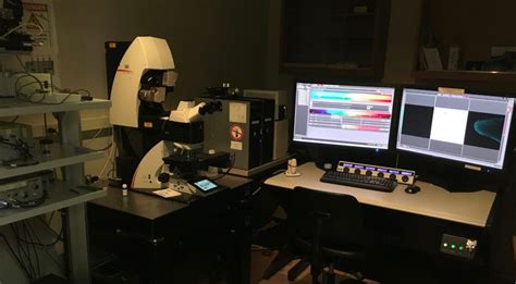 Confocal Laser Scanning Microscopy Franceschi Microscopy And Imaging