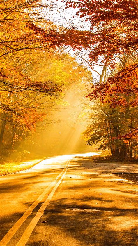 4k Wallpapers For Mobile Cars Fall Foliage Autumn Road 4k Ultra Hd