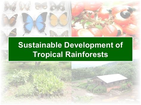 Sustainable Development Of Tropical Rainforests