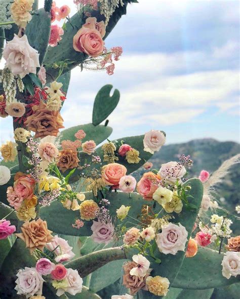Twitter Cactus Photography Flower Aesthetic Flower Wallpaper