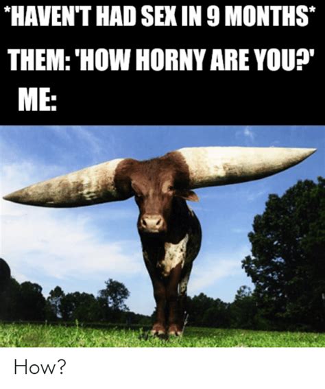 haven t had sex in 9 months them how horny are you me how funny meme on me me