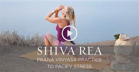 Shiva Rea A Prana Vinyasa Practice To Pacify Stress