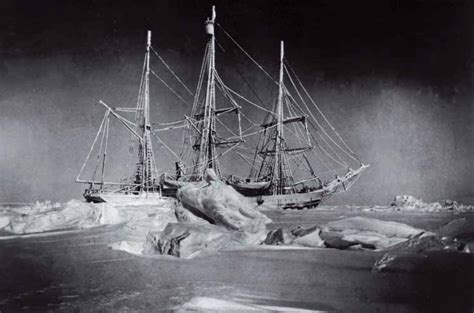 These insects have some seriously amazing adaptations. 120 Years Separate These Two Antarctica Expeditions ...