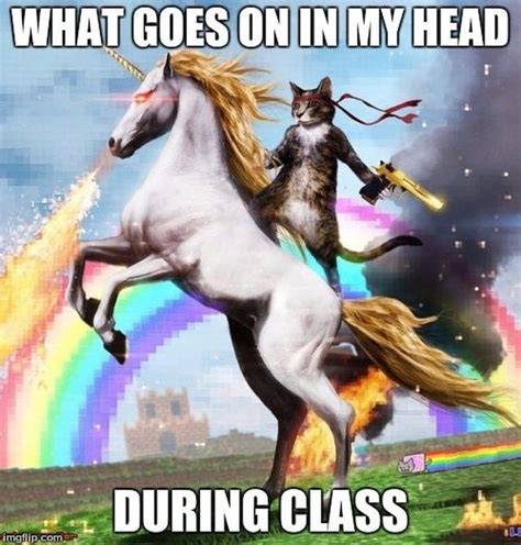 20 Ridiculous Unicorn Memes That Will Make You Laugh Unicorn Memes