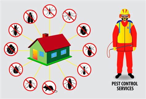The Benefits Of Hiring A Pest Control Company Southern Radiation