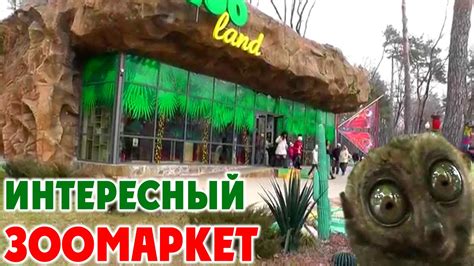 ЗООМАРКЕТ Zooland ЗооЛэнд Парк Горького в Харькове Youtube