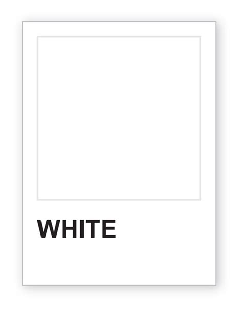 Pantone White Color Chart