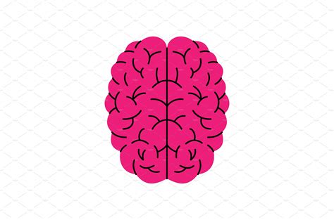 Pink Brain Symbol Pink Human Brain Vector Graphics Creative Market