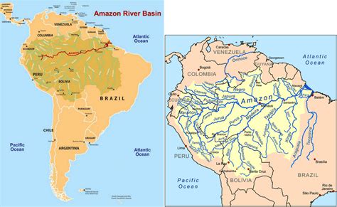 Top 19 Life In The Amazon River Basin Location En Iyi 2022