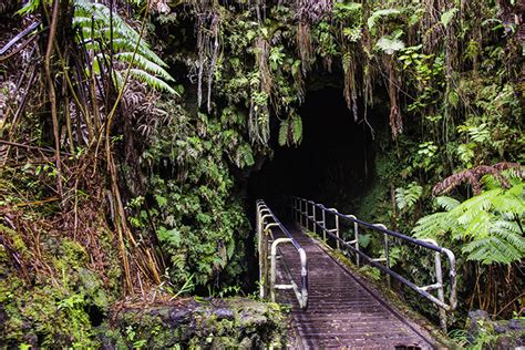 Exploring Mysterious Caves In Hawaii Panda Travel