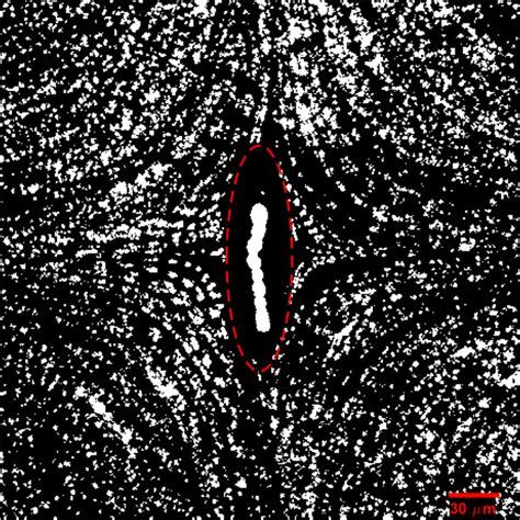 An Example Of Six Overlaid Image Pairs While A Filament Of A