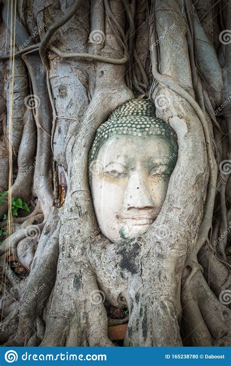 Buddha Head In Tree Roots Wat Mahathat Ayutthaya Thailand Stock