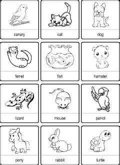 Pets vocabulary for kids learning English | Matching game