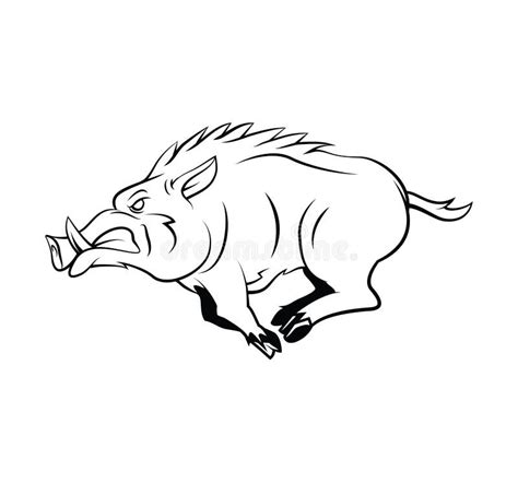 Wild Boar Stock Vector Illustration Of Animal Tattoo 47882674