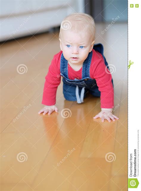 Baby Boy Crawling Stock Photo Image Of Happiness Indoor 77395812
