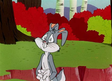 Pin By Sweetzuni On Looney Looney Toons Bugs Bunny Cartoons