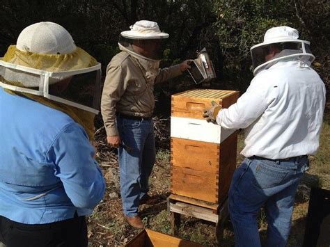 Begin Beekeeping Apiarist Beekeeping Bees Honeybees Apiarist Apiary Bee Keeping