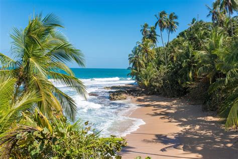 Costa Rica Caribbean Coast Tour Journey Latin America