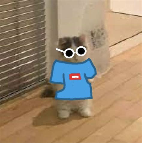 GeorgeNotFound Standing Cat Meme Sticker