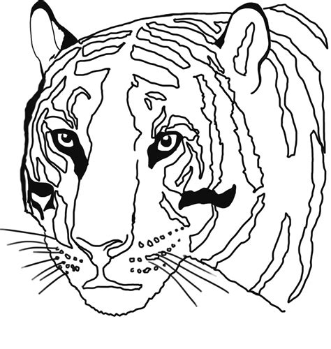 Tiger Head Coloring Coloring Pages