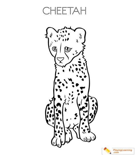 Cheetah Coloring Page 05 Free Cheetah Coloring Page