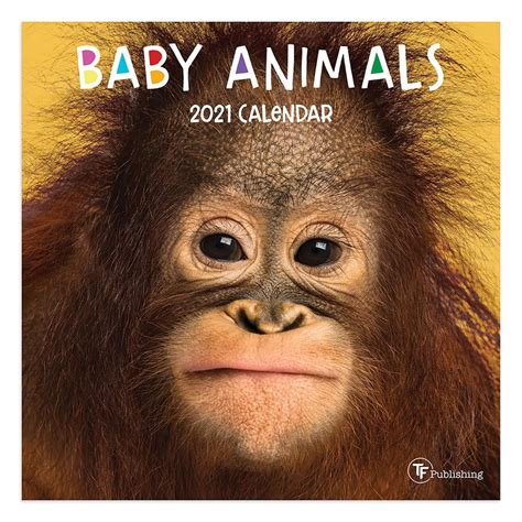2021 Baby Animals Mini 7x7 Calendar