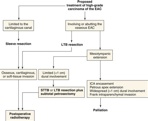 Otology And Neurotology Ento Key