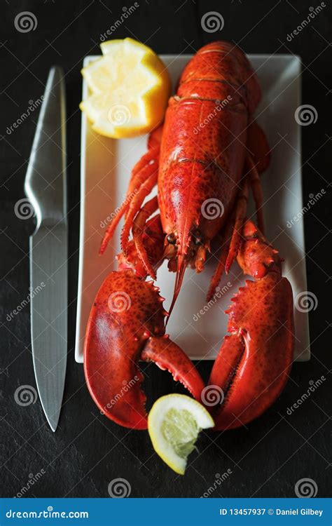 Whole Cooked Lobster Stock Image Image Of Macro Exclusive 13457937