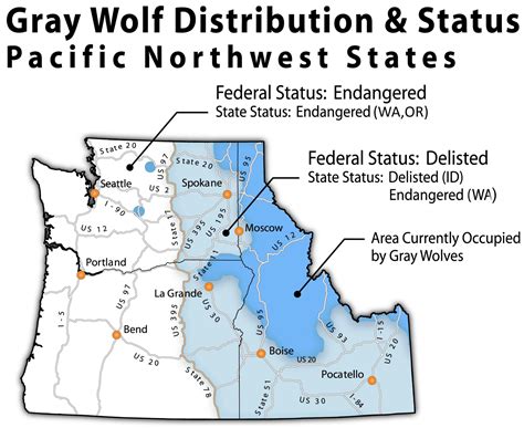 How Many Wild Wolves Are In The United States Wolf Conservation Center