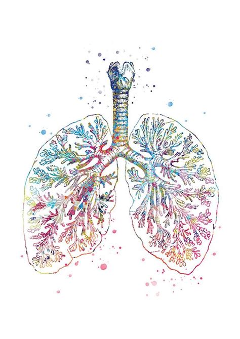 Lungs Art Medical Art Watercolor Bronchi Pulmonologist Etsy Lungs