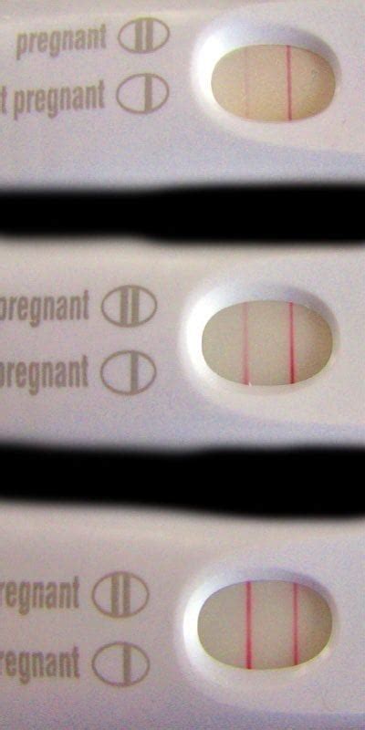 Positive Pregnancy Test Results Vs Test Evaporation Lines
