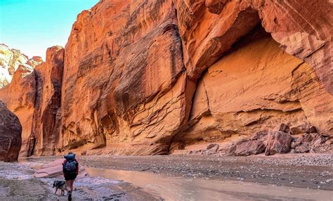 How To Go Backpacking In Paria Canyon And Buckskin Gulch Two Trailbirds