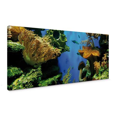 Coral Reef Canvas Print Wall