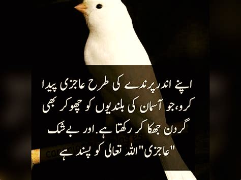 Inspirational Islamic Quotes And Poetry In Urdu Urdu Thoughts