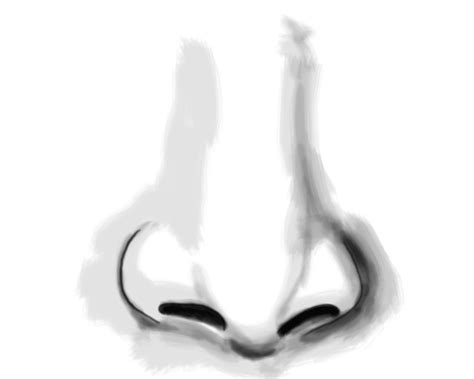 Artowz Advanced Art And Design How To Draw A Nose Step By Step