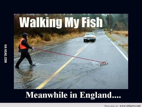 You Know Just Walking My Fish 9gag